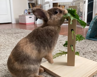 Eating rabbit toy hot sale