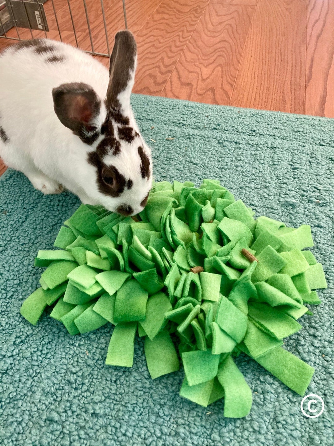 Bunny Rabbit Snuffle Mat, Foraging Blanket, Stimulation Treat Toy, Rabbit  Enrichment Toy, 