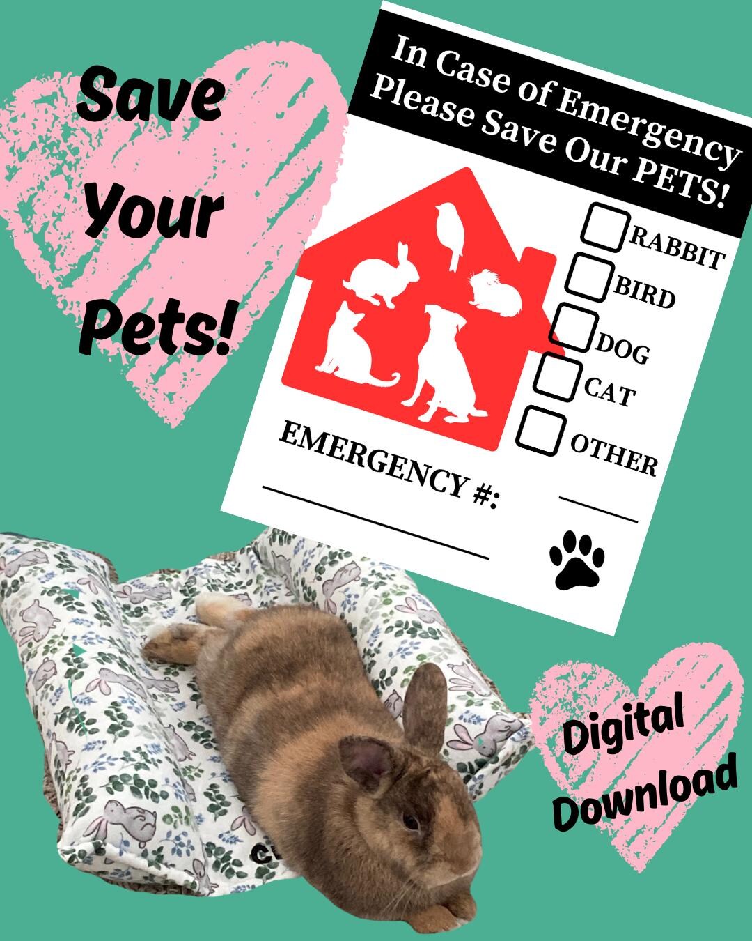 Pet Alert Emergency Sign Digital Download Printable for Rabbits, Cats ...