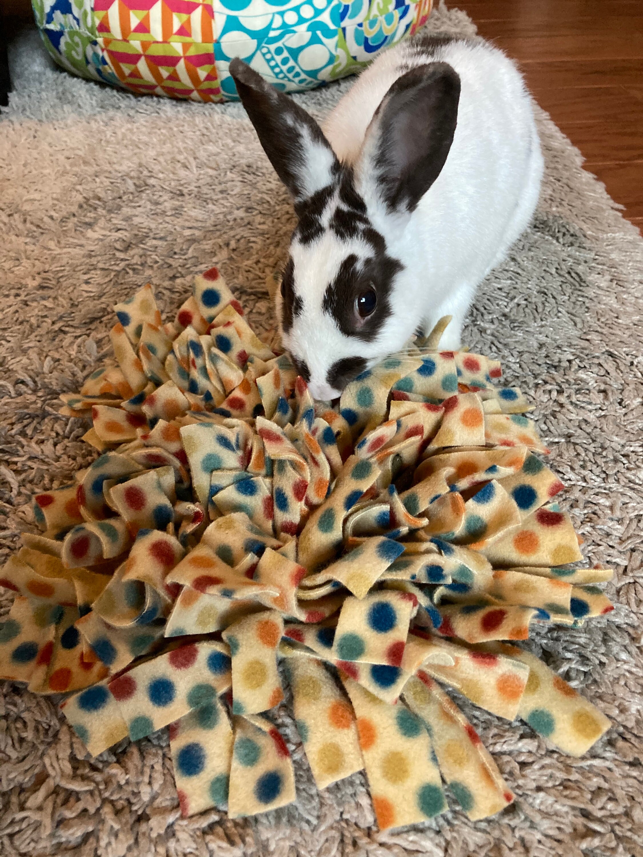 Bunny Rabbit Snuffle Blanket Foraging Blanket Treat Toy Etsy