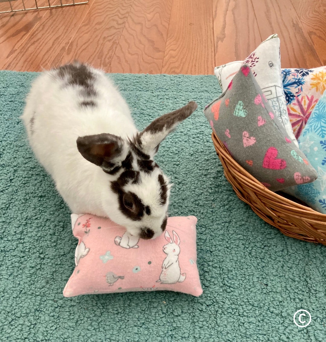 Bunny Toss Pillow Toy, Small Pet Toy, Rabbit Enrichment Toy, Mental