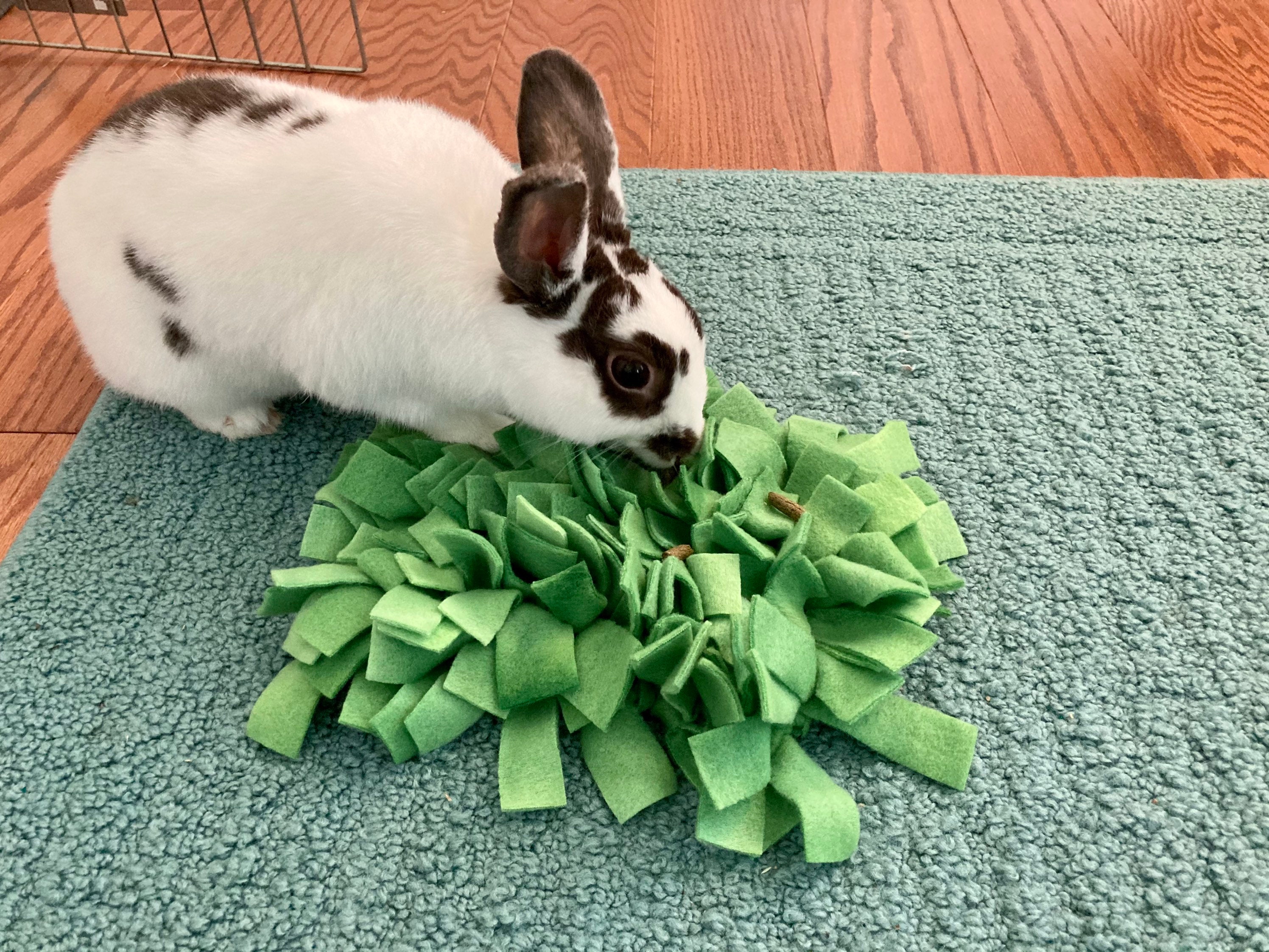 Bunny Rabbit Snuffle Mat Foraging Blanket Stimulation Treat Etsy Ireland