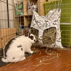 bunny hay rack