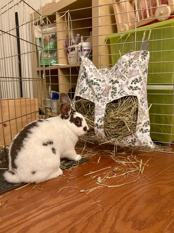 bunny hay feeder