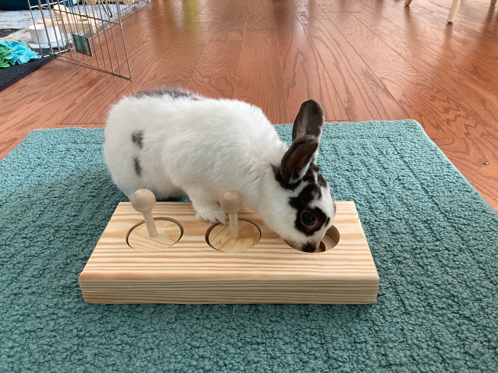 Bunny Wood Hide a Treat Toy Small Pet Chew Toy Rabbit Etsy