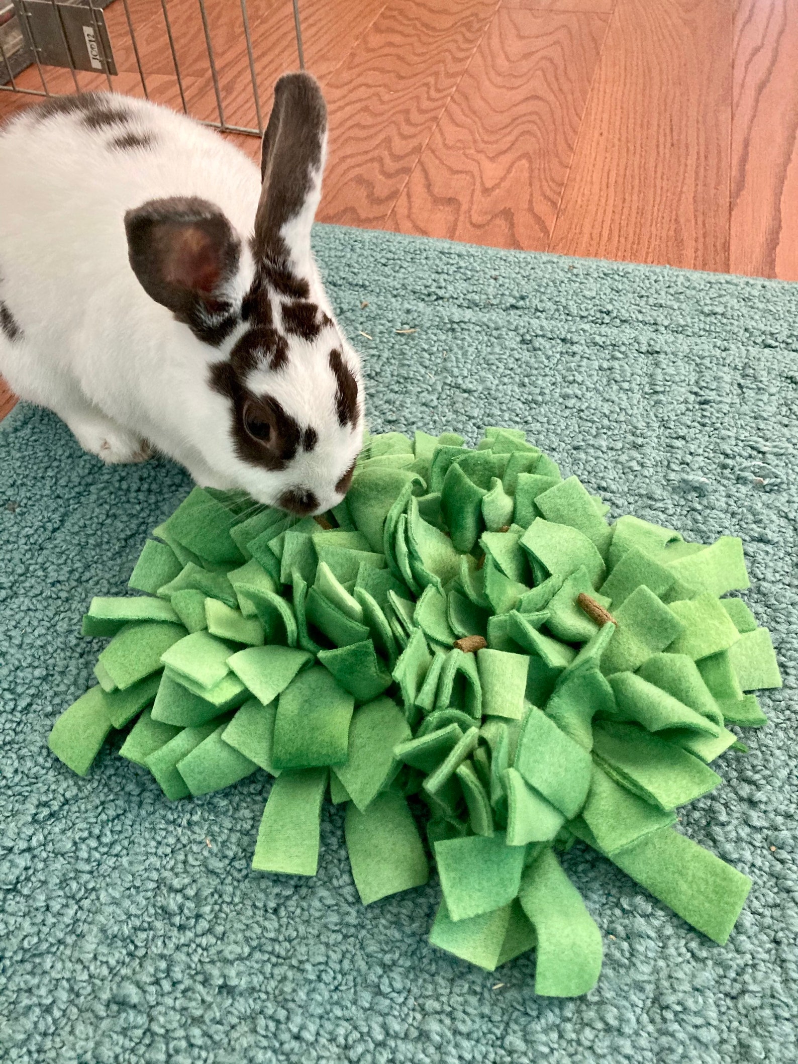 Bunny Rabbit Snuffle Mat Foraging Blanket Stimulation Treat Etsy