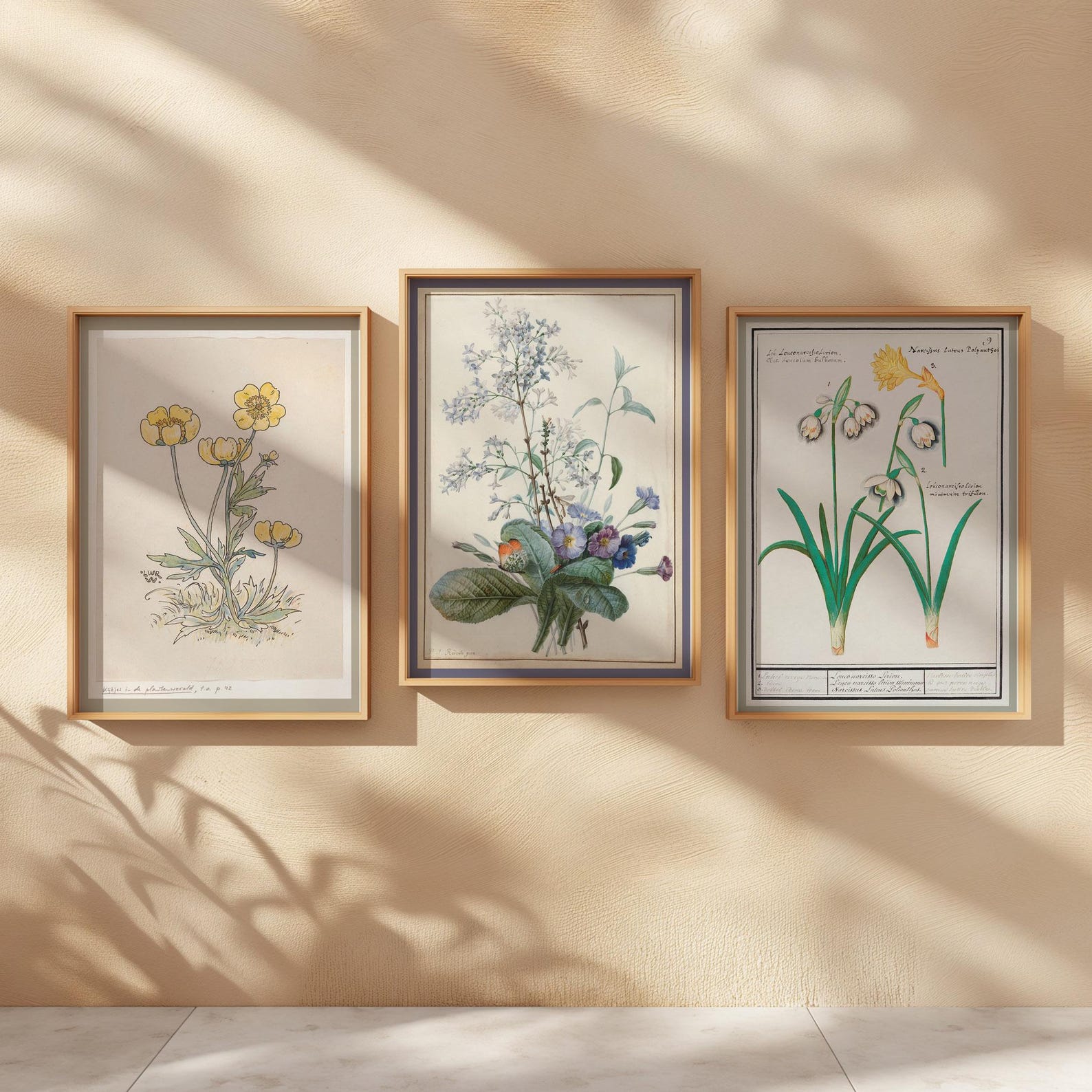 Botanical Wall Art Set Floral Print Vintage Style Wall Decor Light ...