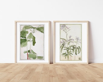 Hannah Borger Overbeck Botanical Print Set, Trillium Flower Drawing, Minimalist Nature Themed Bedroom Wall Decor, (Digital Download)