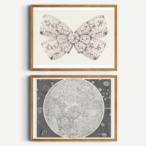 May include: Two framed prints. The top print features a detailed, black and white illustration of a bow with floral embellishments. The bottom print displays a detailed map of the moon in black and white. Both prints are in wooden frames.