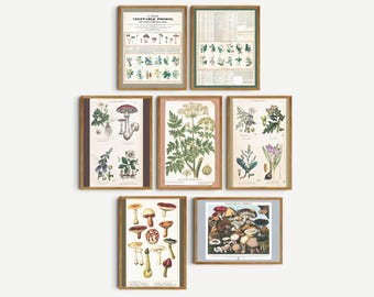 Vegetable Poison Poster Set of 7 Print Poisonous Plant Illustration Botanical Print Vintage Mushroom Art Light Academia Art Printable Witchy