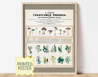 Poisonous Plant Poster Unframed Art Print Vintage Botanical Illustration Vegetable Poison Chart Light Academia Dark Decor Rustic Cottage