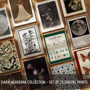 Dark Academia Decor Printable Gallery Wall Set Dark Floral Print Bundle Moody Vintage Wall Decor Gothic Wall Hanging Botanical Art Eclectic