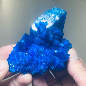 Könnte beinhalten: Ein Cluster aus leuchtend blauen Kristallen, einige mit einem weißen, undurchsichtigen Zentrum, bilden ein einzigartiges und auffälliges Display.