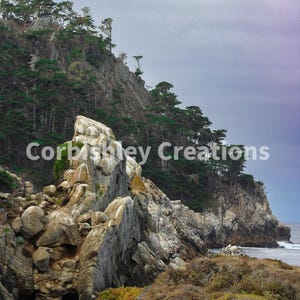 Point Lobos