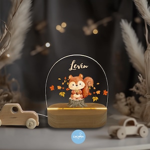Acrylic night lamp, baby gift birth, christening gift, children&#39;s room, birthday gift, bedside lamp, forest animals, night light