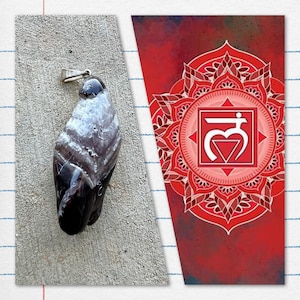 May include: A pendant featuring a polished, teardrop-shaped stone with a silver bail. The stone has a mix of black, white, and gray bands. Next to it is a red and white illustration of a chakra symbol.