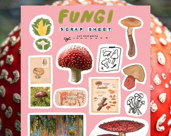 Fungi Digital Scrap Sheet - Mushroom Cut and Paste, Botanical Ephemera Digital Download