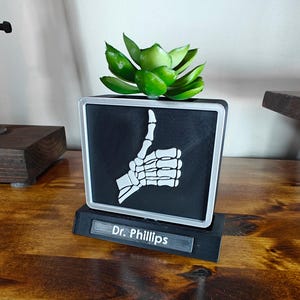 May include: A black and white square planter with a thumbs-up skeleton hand design, holding a green succulent plant. The planter sits on a black base with the name "Dr. Phillips" printed on it. The planter is on a wooden surface.