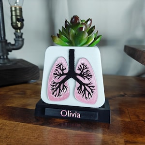 Pode incluir: Vaso de cerâmica branco em forma de pulmões, com interior rosa e contorno preto. O vaso tem uma planta suculenta dentro e uma base preta com o nome "Olivia" impresso nela.