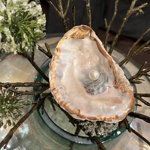 Pearl oyster ring dish