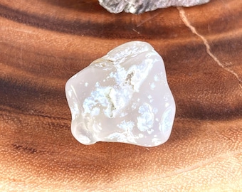 Natural white Cream Oregon Chalcedony Agate Palm Stone | 30 grams weight | Freeform Rounded | 150 Carats | Natural Polished Tumbled FF