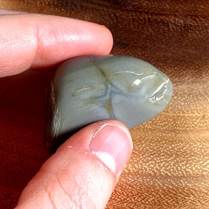 May include: A smooth, gray and white heart-shaped stone with a unique pattern of veins.