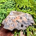 Polished Oregon Rainforest Rhyolite Display Slab | Silicate Filled ...