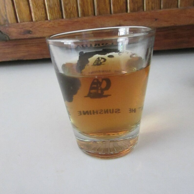 Vintage Souvenir Barware Florida Souvenir Shot Glass \u2013 The Sunshine State Clear Glass Jigger