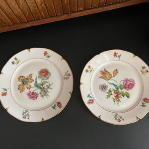 Botanical Luncheon Plates Beautiful & Bold Multicolored Floral Porcelain Plates Set of 2 by AJCO Vintage French Porcelain Fine China image 5