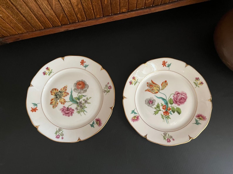 Botanical Luncheon Plates Beautiful & Bold Multicolored Floral Porcelain Plates Set of 2 by AJCO Vintage French Porcelain Fine China image 5