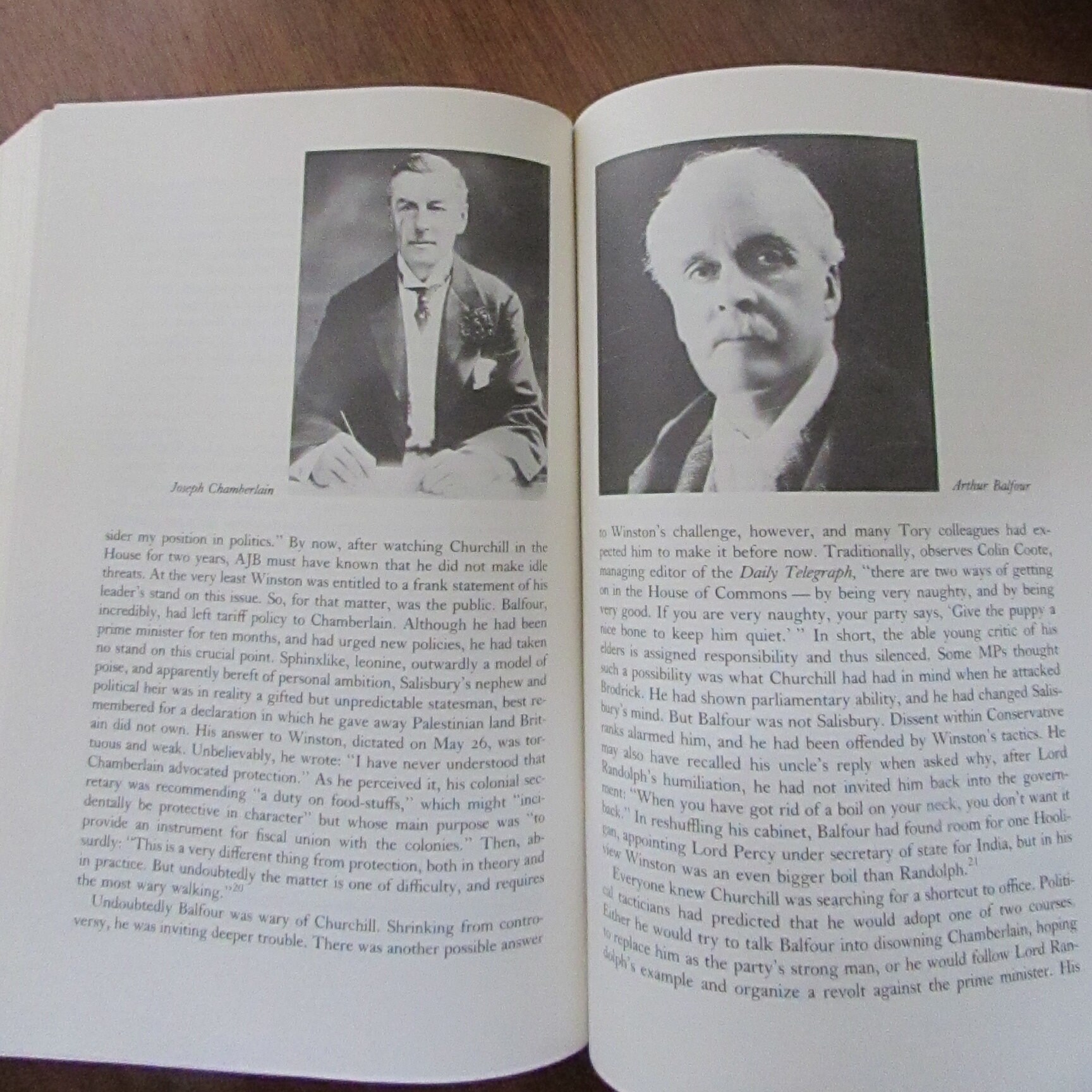 the last lion churchill book the last lion churchill book