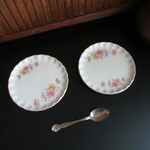 Set of 2 Pink, Yellow, & Blue Floral Bread and Butter Plates – Bolero – Vintage W S George Dinnerware – Pastel Flowers