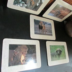 May include: Five different animal-themed coasters with a beige background and a white border. The coasters feature images of a lion, a lioness with cubs, a buffalo, a leopard, and a group of zebras.
