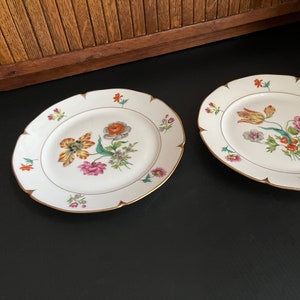 Botanical Luncheon Plates Beautiful & Bold Multicolored Floral Porcelain Plates Set of 2 by AJCO Vintage French Porcelain Fine China image 7