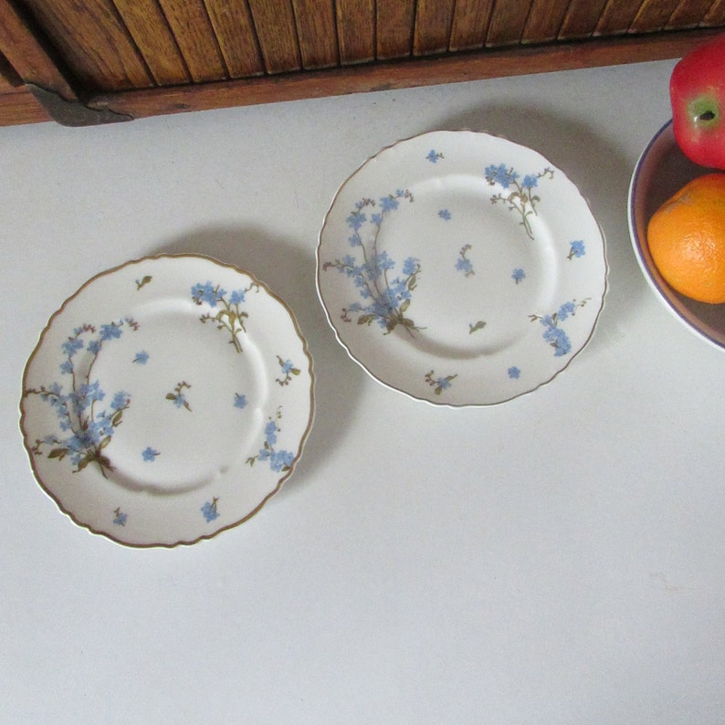 Haviland Montmery Bread & Butter Plates \u2013 Set of 2 Plates Blue