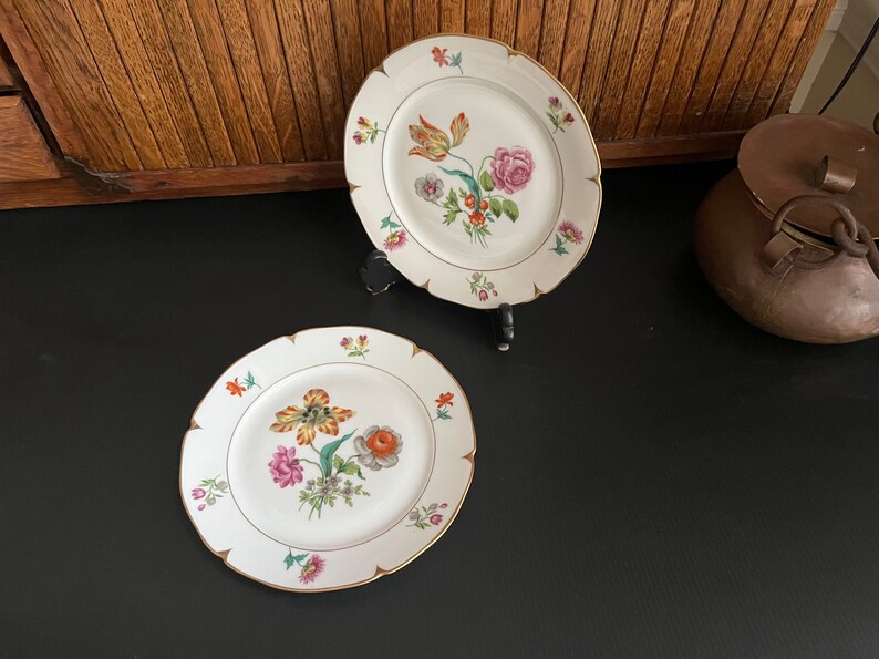 Botanical Luncheon Plates Beautiful & Bold Multicolored Floral Porcelain Plates Set of 2 by AJCO Vintage French Porcelain Fine China image 1