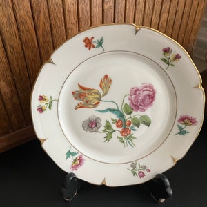 Botanical Luncheon Plates Beautiful & Bold Multicolored Floral Porcelain Plates Set of 2 by AJCO Vintage French Porcelain Fine China image 3