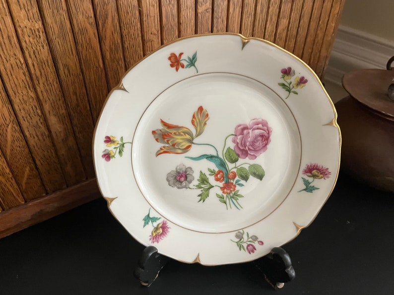 Botanical Luncheon Plates Beautiful & Bold Multicolored Floral Porcelain Plates Set of 2 by AJCO Vintage French Porcelain Fine China image 3