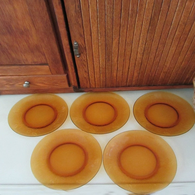 Floral Amber Plates Amber Glass Salad Plates Set of 5 Etsy New Zealand