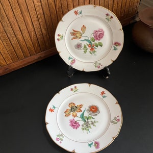 Botanical Luncheon Plates Beautiful & Bold Multicolored Floral Porcelain Plates Set of 2 by AJCO Vintage French Porcelain Fine China image 2