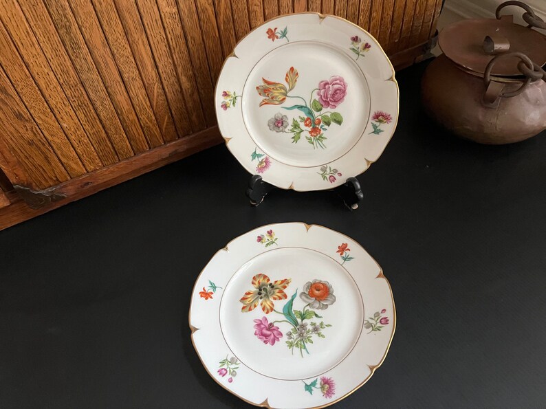 Botanical Luncheon Plates Beautiful & Bold Multicolored Floral Porcelain Plates Set of 2 by AJCO Vintage French Porcelain Fine China image 2