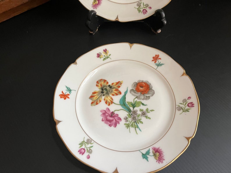 Botanical Luncheon Plates Beautiful & Bold Multicolored Floral Porcelain Plates Set of 2 by AJCO Vintage French Porcelain Fine China image 4