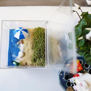Peut inclure: Une scène de plage miniature dans une boîte en plastique transparente. La scène comprend un parasol de plage rayé bleu et blanc, un petit tas de sable et une touffe de mousse verte.