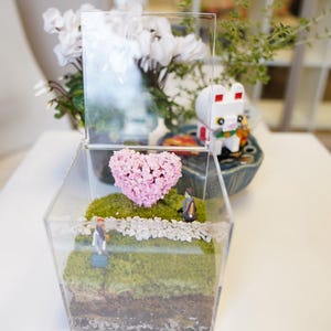May include: A clear glass terrarium containing a pink heart-shaped flower, green moss, and small figurines. The terrarium is on a white surface.