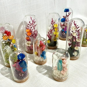 May include: A collection of glass terrariums, each containing colorful dried flowers, crystals, and decorative elements. The terrariums vary in size and shape, with cork bases and clear glass domes. The flowers include shades of red, orange, yellow, and blue.