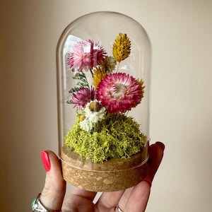 May include: A clear glass dome cloche with a cork base containing a miniature arrangement of dried flowers in shades of pink, yellow, and white, set into a bed of bright green preserved moss. The arrangement features strawflowers and small buds.