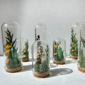 May include: Several glass terrariums with cork bases are displayed. Each contains a miniature landscape with green moss, dried plants, and colorful crystals. The terrariums are under clear glass domes, creating a whimsical, natural aesthetic.