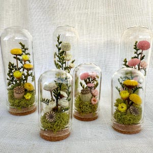 May include: Five glass cloches with cork bases, each containing preserved dried flowers and moss. The arrangements feature yellow, pink, and white blossoms, green foliage, and dried seed pods, creating a collection of botanical displays.