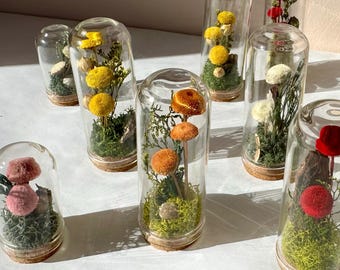 Miniature Mushroom Terrarium Glass Diorama Made With Dried Florals and Mosses