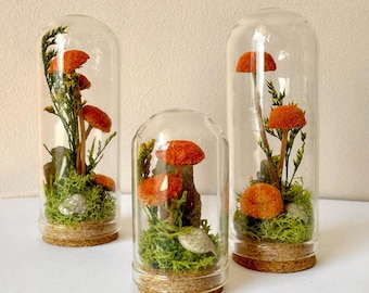 Peut inclure: Trois cloches en verre avec des terrariums miniatures de champignons. Chaque terrarium présente des champignons orange, de la mousse verte et de petites pierres. Les cloches ont des bases en liège.